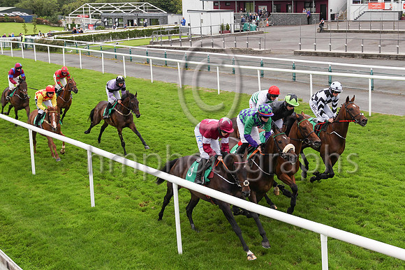 01st Soldiers Hill and D N Russell ( 1 , white, green chevrons ) Trainer - G Elliott , Owner - Noel Moran  Mrs Valerie Moran