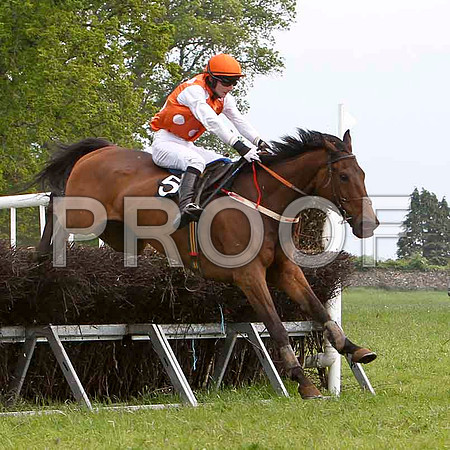 Borehovel Banker , Unplaced, Jockey A J DoyleFT8E2526-e