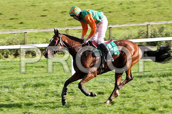 Andrew's Hill , Jockey E F Power - PU - CU2D9339-e