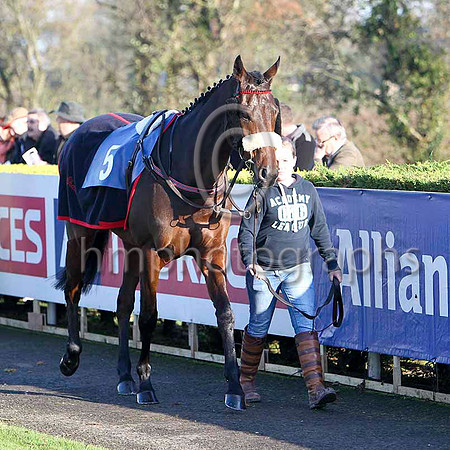 Imperial Shabra , 5th - Jockey J L Cullen - FT8E7025-e