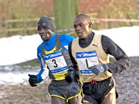 IMG_4100-e3a4j