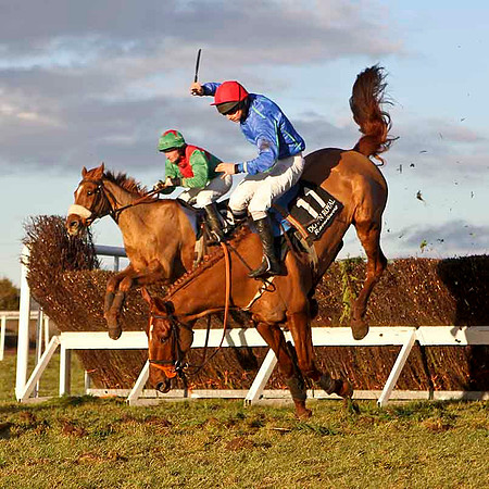 Rocklet (11) Fell - Jockey , M J Bolger - CU2D3279-e