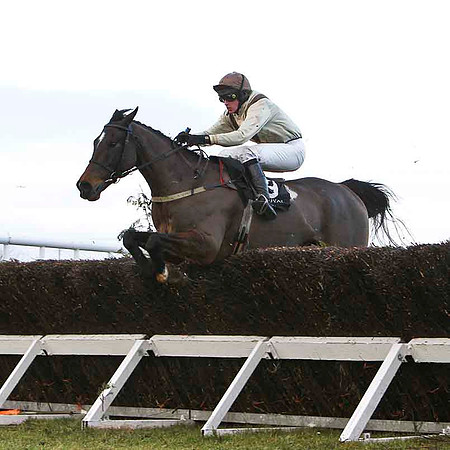 Kyle's Turn 9th, Jockey E Mullins - FT8E9979-e