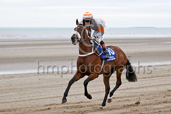 Ondeafears , 5th , Jockey D P McDonogh  - FT8E4110-e