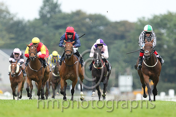 01st Go Kart ( 3 , black  white checks ) and R.P. Downey (5) - Trainer : P.J.Prendergast - Owner : J.P.M.O'Connor