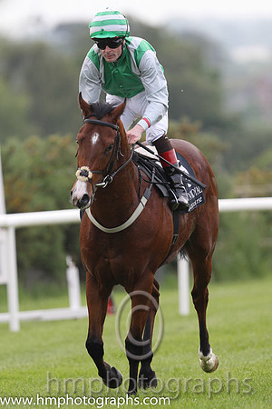 01 Primo Uomo & P J Smullen - winner (5, emerald green, grey braces ) - FT8E7189-7