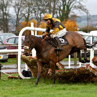 2010/11/06th - Race 2 - Down Royal - The Tayto Group Handicap Hurdle (80-102) of 13,000 Euro