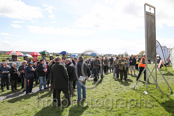 Spectators mark their race cards
