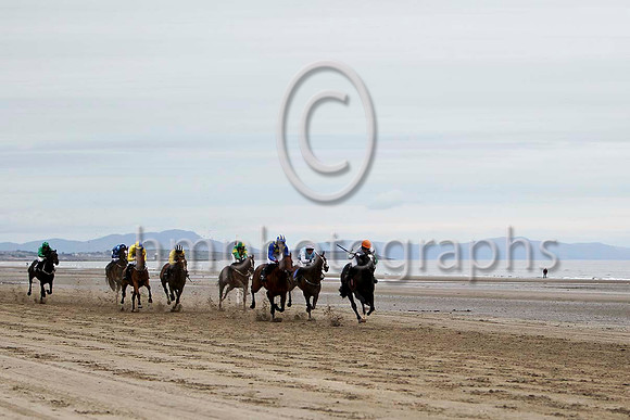 Curl Cat ,Winner in the lead, Jockey Mr M P Fogarty - FT8E4269-e2