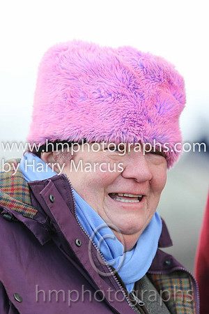 Margie McLoone - The Irish Field Journalist
