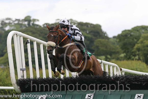 01 Orgilgo Bay & M J Bolger - winners (3, Black and white diamonds) - AA1V0687