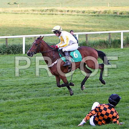 Jockey Derek O'Connor on the ground - FT8E3219-e
