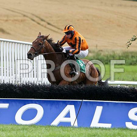 Upthecats - 5th , Jockey P D Kennedy  - FT8E3898-e