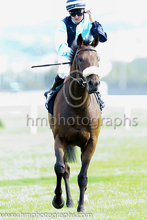 06 Spacious Sky and S Foley - - 06th (11 ,light blue and dark blue halved ) Trainer - A J Martin