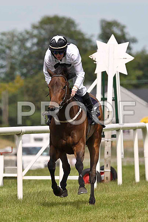 Harriers Call 6th, Jockey T C Carroll - FT8E1530-e