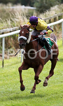 Swift Accordian - 8th, Jockey A P Cawley   -CU2D9445-e2
