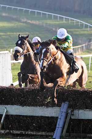 Inoma James (white noseband) , 8th Jockey C D Maxwell - & Flemensford 10th, Jockey N P Madden - FT8E0531-e
