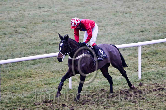 Cute N'willin 6th, Jockey Mr P Burke - CU2D2189-e
