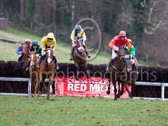Fourth Race - Gaelic Accord 5th, Rowdy Exit 2nd, Nanos Witness 1st, Ruby Ruby Rubay 4th,Oh Jackie 3rd, Rudi Ridirudi  - _MG_4986-e3a4j