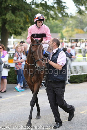 01 Toe The Line and F M Berry - - 01st (9 ,pink, black hoop ) Trainer - J E Keily