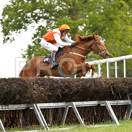 Glenwood Present , Winner, Jockey - C Cully - FT8E2303-e