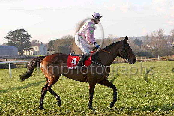 Blazing Tempo , 3rd - Jockey P Townend - FT8E7041-e