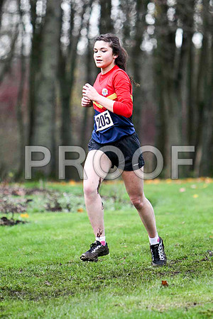 Yasmin Wilson , 6th in 20.36 - Ballyclare High -FT8E7614-e
