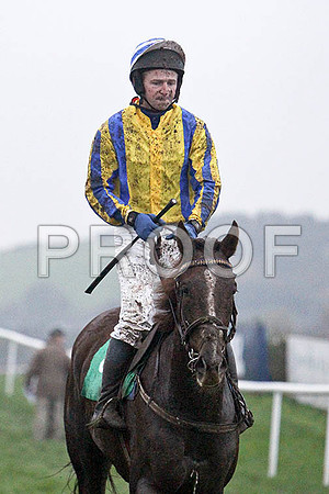 Bee Cee Brown , 10th, Jockey Mr N McParlan -FT8E5596-e