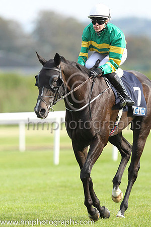 11 Egyptian Warrior and Anastasia O'Brien - - 11th (7 ,emerald green and orange hooped ) Trainer - A P O'Brien