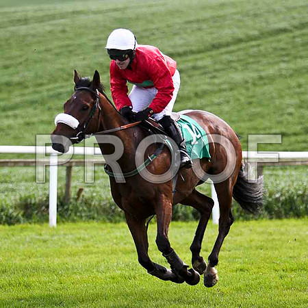 Gold Sensation , 2nd , Jockey A D leigh - FT8E2884-e