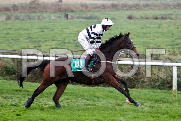 Safari Sunup , 5th - Jockey M P Butler - FT8E5466-e