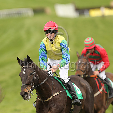 01st THE BALER and F Stack ( 8 , YELLOW; blue sleeves,green chevrons; red cap ) Trainer: Liam O'Farrell , Owner : Liam O'Farrell