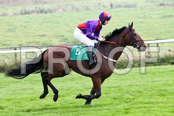 Cilliseal 8th, Jockey D R Fox - FT8E5195-e