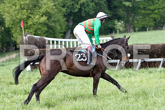 Race 6 Div 1 - Out of the Shade (23) PU, Rider C Cully - CU2D9740-e