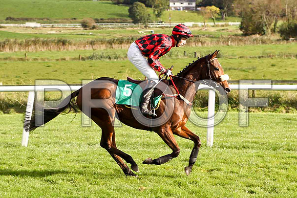 Coosan Belle , Jockey E J O'Connell - 11th - FT8E4423-e