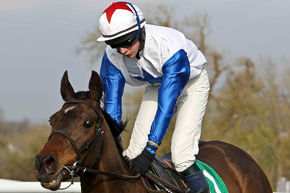 Mayo Mystique - 4th, Jockey D J Bates - FT8E0446-e