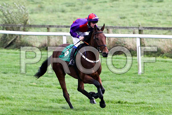 Cilliseal 8th, Jockey D R Fox - FT8E5193-e