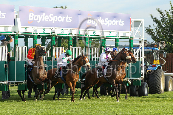 The start of r Her Majesty's Plate (Listed Race) at Down Royal on 22nd July 2022