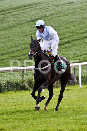 Seaneen Mac Ri - 6th, Jockey - Mr D A Fitzsimmons - FT8E2891-e