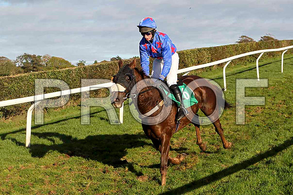 Ashfield Present - Jockey Mr P N O'Brien - PU - FT8E4461-e
