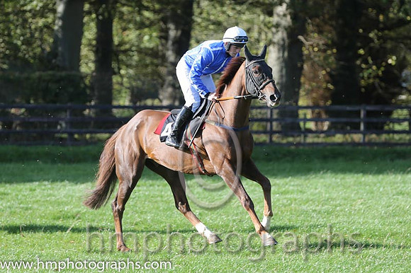 04 League Of His Own and R James - - 04th (4 ,royal blue, white seams ) Trainer - Colin Bowe