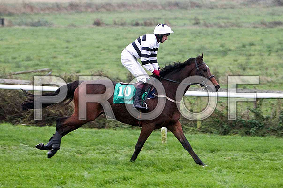 Safari Sunup , 5th - Jockey M P Butler - FT8E5467-e