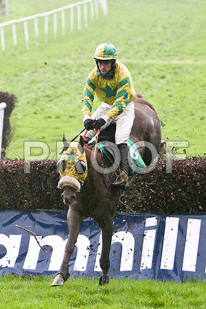 Thistimesforgood , U Jockey M J Ferris - FT8E5373-e