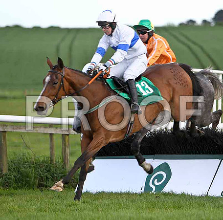Minnie Maguire , 4th, Jockey - M N Doran - FT8E3052-e