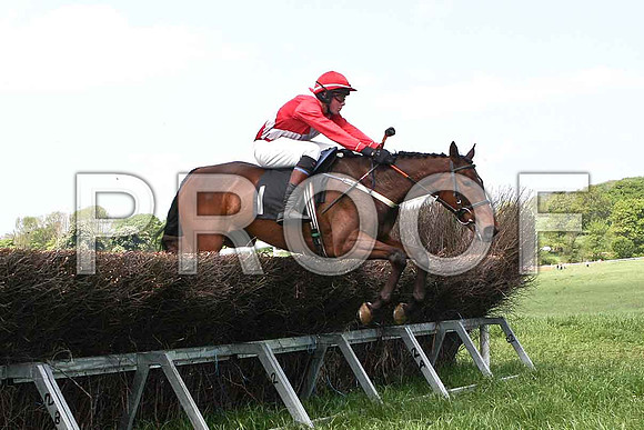 Second Race - Knockans Breeze (1) UR Rider W Thompson - IMG_0330-e
