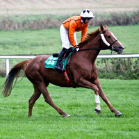 Nuggets of Wisdom , 3rd - Jockey A P Thornton - FT8E5268-e