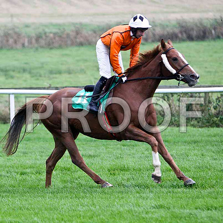 Nuggets of Wisdom , 3rd - Jockey A P Thornton - FT8E5268-e