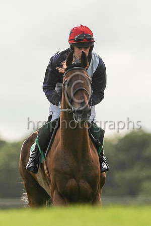 01st Slippery Serpent and Mr B O?Neill ( 2 , black, white cross sash ) Trainer - E J O?Grady , Owner - Mrs E J O?Grady