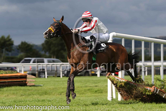 01st Dodgybingo  Sean Flanagan (6,white, red striped sleeves), trainer Noel Meade