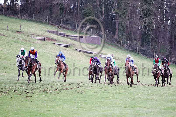 Sixth Race - Shanran in the lead, 3rd - CU2D7175-e